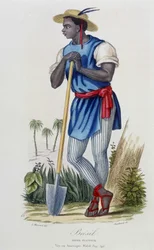 Planteur du Brasil - in „Bibliotheque Universelle des Voyages“ von Albert-Montémont, hrsg. Armand-Aubrée, Paris