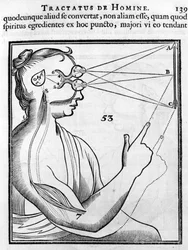 Ophthalmologie: Das Auge und das Sehen