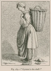 Austern in der Schale!