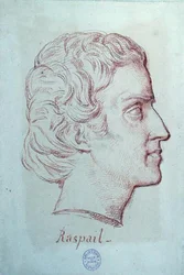 Porträt von Francois Vincent Raspail (1794-1878)