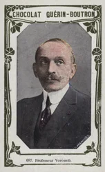 Professor Voronoff