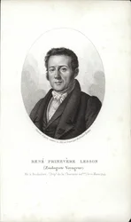 René Primevère Lesson