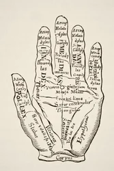 Darstellung der linken Hand mit den Linien und ihren horoskopischen Bezeichnungen, aus "Wissenschaft und Literatur im Mittelalter" von Paul Lacroix, veröffentlicht in London 1878