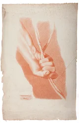 Studie einer Hand