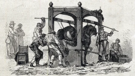 Die Nationale Veterinärschule von Alfort - Die großen Schulen Frankreichs - Veterinärschule von Maisons-Alfort im Jahr 1866 - das Beschlagen widerspenstiger Pferde - Stich in „Le Monde illustré“ von 1866