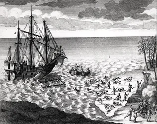 Der Pelikan sinkt nahe der Küste, aus Histoire de l