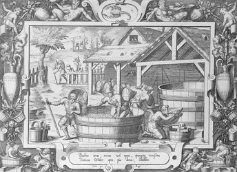 Die Weinlese