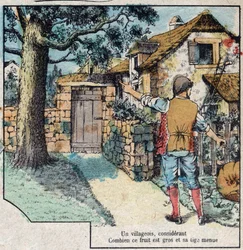 Die Eichel und der Kürbis. Fabeln von Jean de La Fontaine (1621-95). Epinal-Bildgebung Ende des 19. Jahrhunderts.