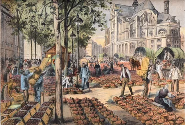 Die Ankunft der Erdbeeren auf dem Fliesenboden der Hallen hinter der Kirche Saint Eustache, aus der Zeitung "Le Petit Parisien"