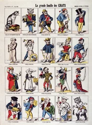 Die große Familie der Katzen - Bild von Epinal