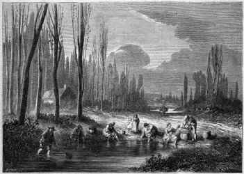 Der Blutegel-Fang in der Nähe von Versailles
