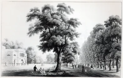 Die Hauptallee im Prater, Wien, 1821
