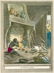 Der Affe und die Katze