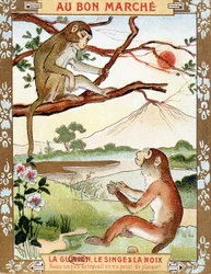 Der Affe und die Nuss (Fabel von La Fontaine) - Werbevignette du Bon Marché