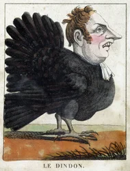 Der Truthahn in Karikatur, Charakterstudie „flüchtiger Charakter“ 19. Jahrhundert, populäre Bildsprache