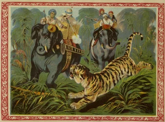Tigerjagd