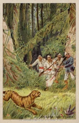 Tigerjagd