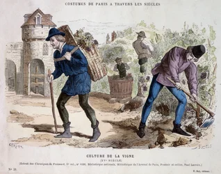 Weinkultur im 15. Jahrhundert - in Costume de Paris durch die Jahrhunderte