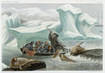 Walrossjagd - in „Le monde de la mer“ von Alfred Fredol, Hachette, Paris