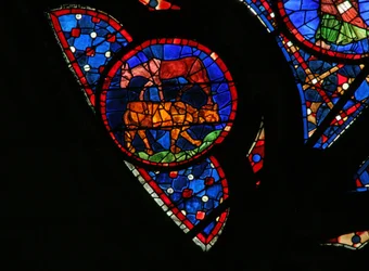 Fenster w115, die Erschaffung der Tiere darstellend
