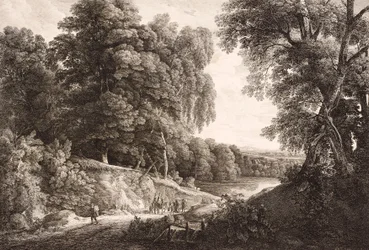 Waldlandschaft