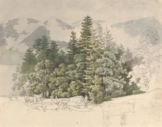 Alpenlandschaft