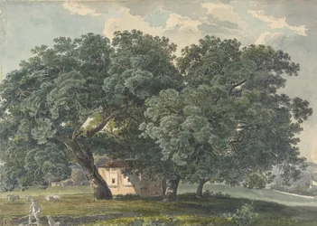 Italienische Landschaft mit Bäumen recto, 1815-21