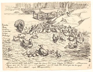 Die anderen Enten