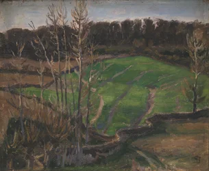 Landschaft bei Svanninge mit grünem Wintergetreide