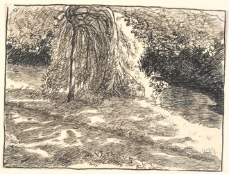Studie zur Trauerweide in: Da hast du deine Augen, sagte der Tod...