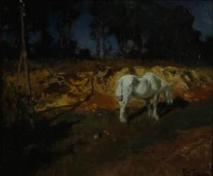 Das Pferd des Doktors
