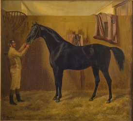 Schwarzer Komet