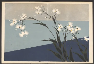 Shasei sôka môyô, Muster von Pflanzen und Blumen aus dem Leben