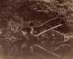 Flussufer im Vale of Neath