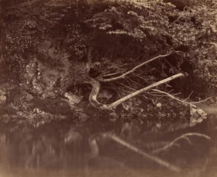 Flussufer im Tal von Neath, ca. 1855