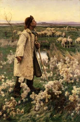 Schäfer, 1884