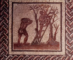 Gallorömische Kunst: Mosaikboden mit der Darstellung eines ländlichen Kalenders. Szene der Olivenernte. Ende des 2., Anfang des 3. Jahrhunderts n. Chr. Aus Saint-Romain-en-Gal (Rhône). Saint-Germain-en-Laye, Nationalmuseum für Archäologie