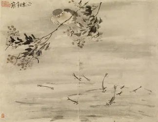 Vogel beobachtet Fische