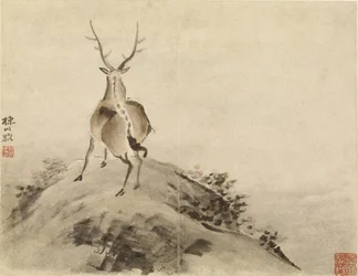 Hirsch