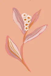 Pfirsichblüte