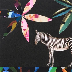 Italienisches Zebra