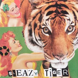 Schmieriger Tiger, 2019