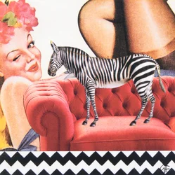 ZickZackZebra