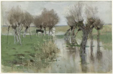 Hochwasser auf der Weide