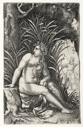 Prokris, 1539