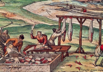 Thunfischverarbeitung, Miniatur aus Civitates Orbis Terrarum