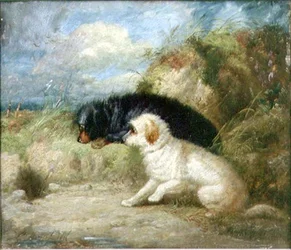 Terrier an einem Kaninchenloch