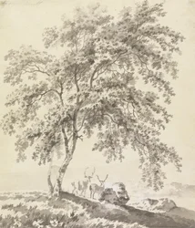 Baumstudie mit Hirschen (Landschaft)