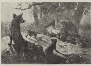 Die Fuchsfamilie zu Hause