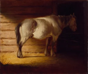 Altes Feldpferd